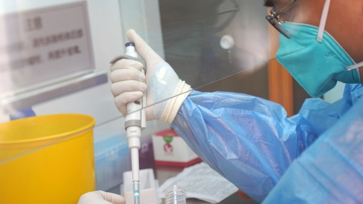 Čínská provincie Chu-pej skupovala PCR testy už půl roku před začátkem pandemie